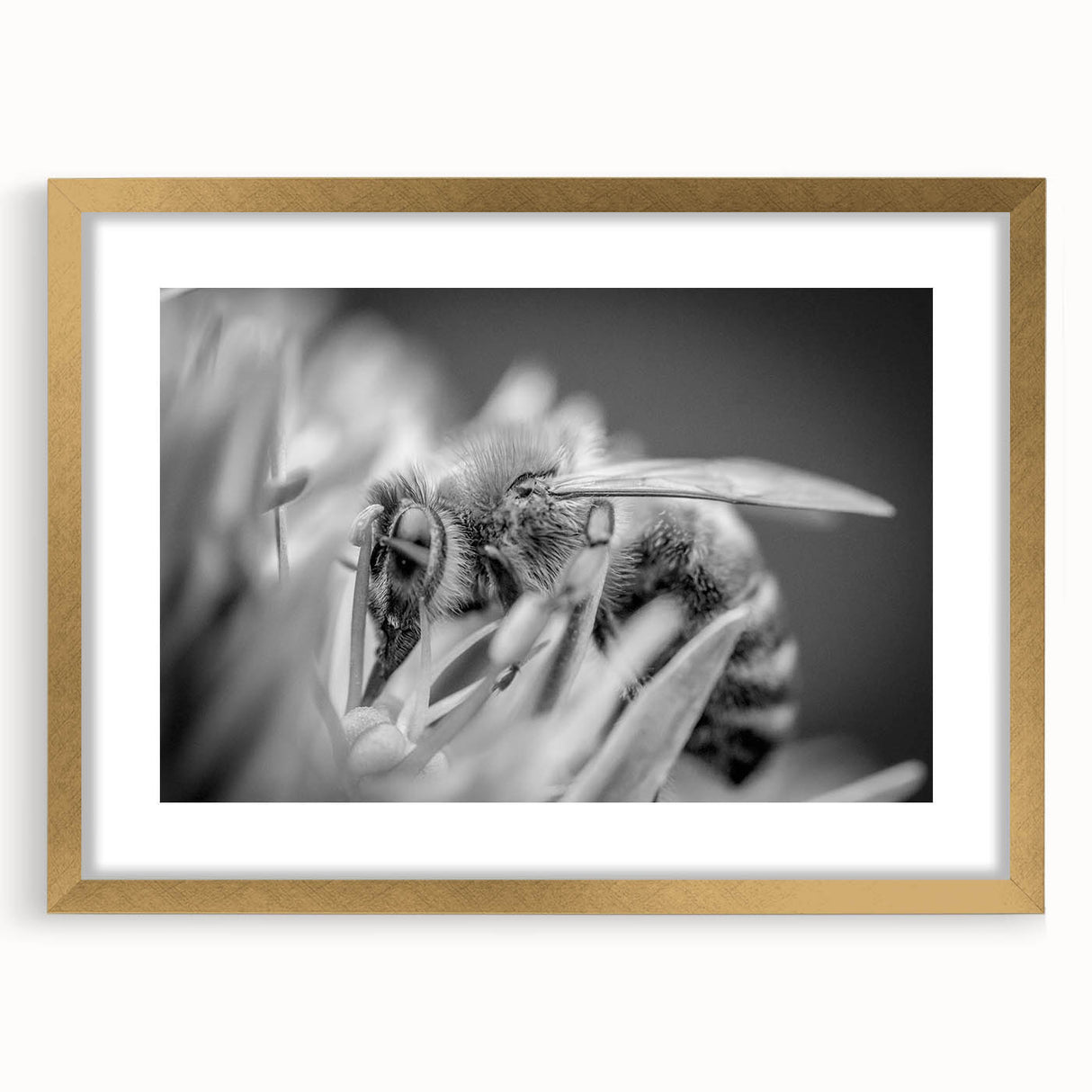 Framed wall art showcasing a detailed design of bees and arachnids, featuring a gold mat and frame, perfect for nature enthusiasts and home decor.