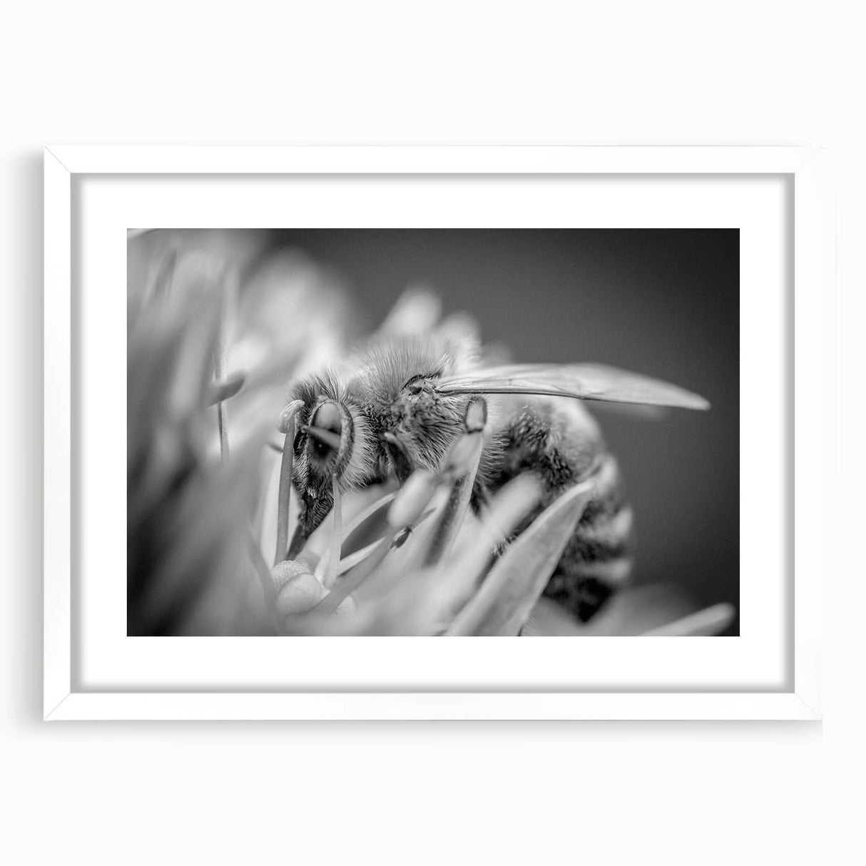 Framed wall art showcasing a detailed design of bees and arachnids, featuring a white mat for contrast, perfect for nature-themed decor in modern interiors.