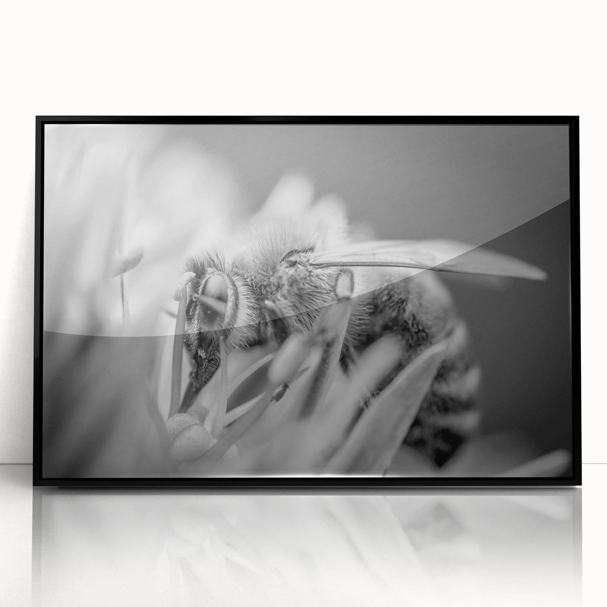 Framed wall art showcasing a detailed insect and arachnid design featuring bees, set in a sleek black frame, ideal for nature enthusiasts and modern decor.