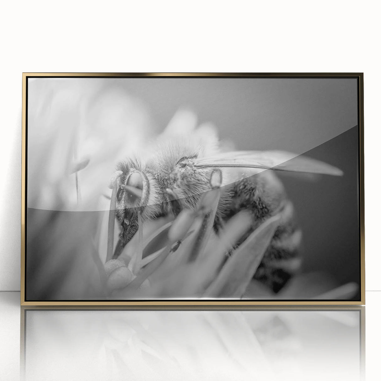 Framed wall art piece showcasing a detailed illustration of bees and arachnids, featuring a sleek gold frame and acrylic front for enhanced clarity and style.