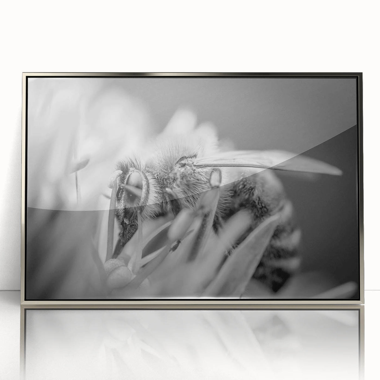 Framed wall art showcasing a detailed design of bees and arachnids, presented in a sleek silver frame, perfect for nature enthusiasts and modern decor.