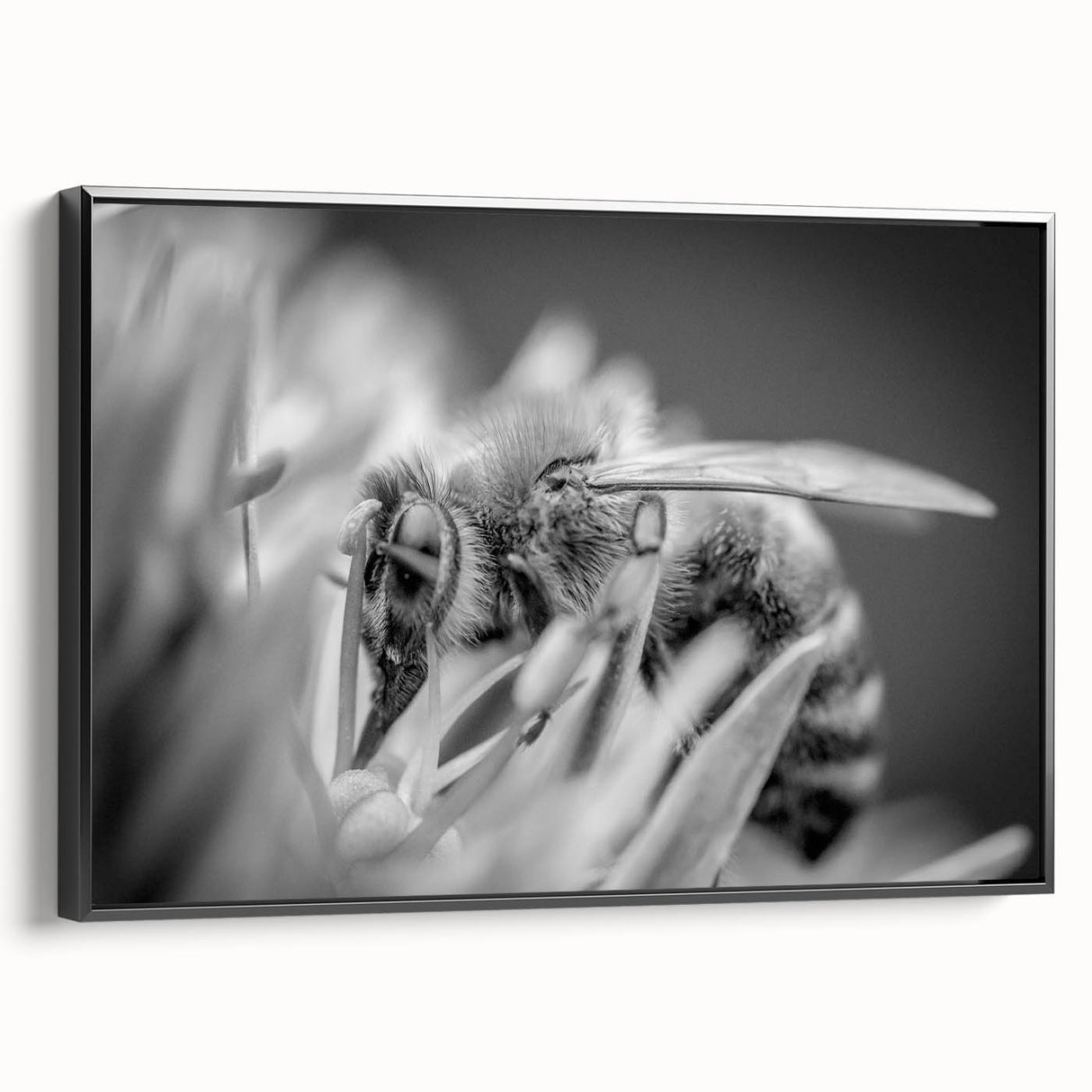 Framed wall art showcasing a detailed insect and arachnid design, featuring various bee illustrations on a black canvas, perfect for nature lovers and home decor enthusiasts.