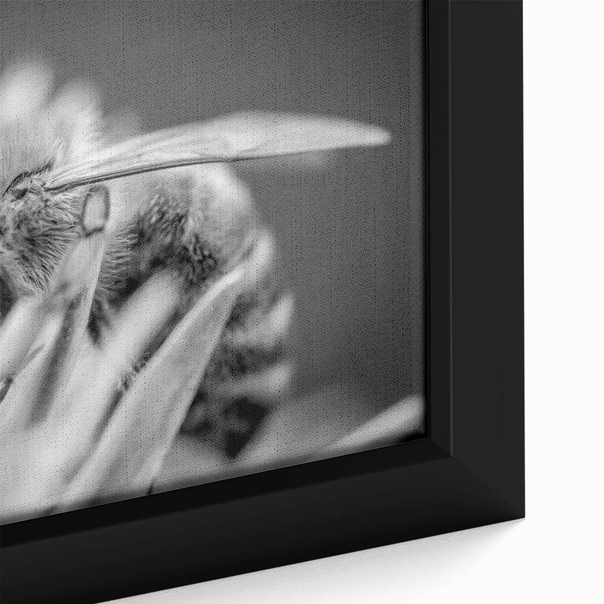Close-up of a framed canvas wall art featuring a vibrant design of bees and arachnids, showcasing intricate details and bright colors, perfect for nature lovers' decor.