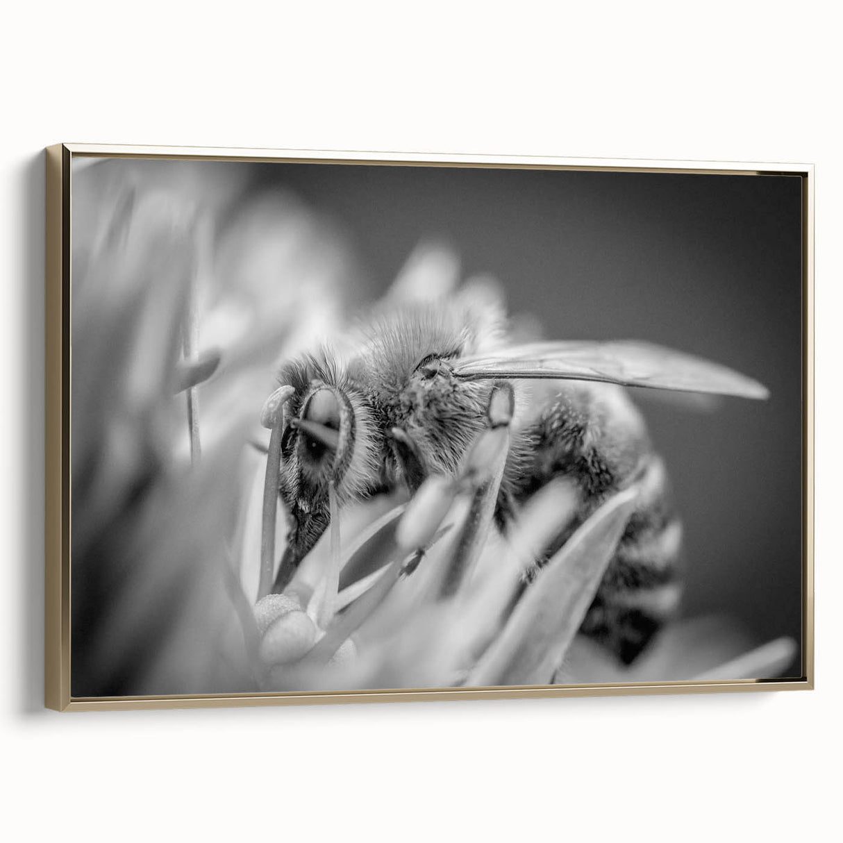 Framed wall art featuring a detailed design of bees and arachnids on a textured canvas, highlighted by a gold frame, perfect for nature lovers and home decor enthusiasts.