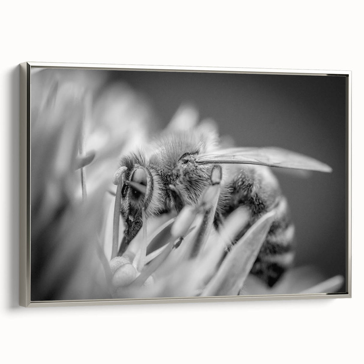 Framed canvas wall art showcasing a detailed insect and arachnid bee design, elegantly bordered in silver, ideal for nature enthusiasts' decor.