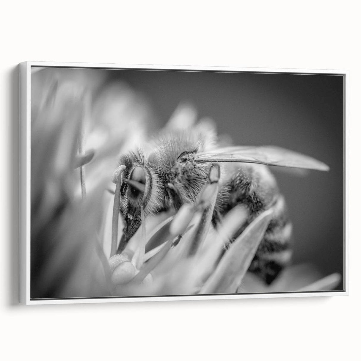 Framed canvas wall art showcasing a detailed insect and arachnid design, featuring various bees on a white background. The side view highlights the artwork's elegant framing, perfect for nature enthusiasts and home decor.