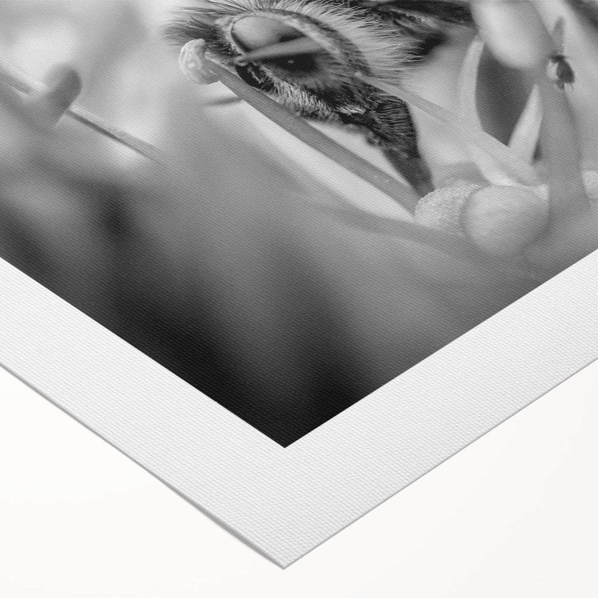 Rolled canvas artwork showcasing a detailed design of various insects and arachnids, featuring vibrant colors and intricate patterns, perfect for nature enthusiasts and home decor.