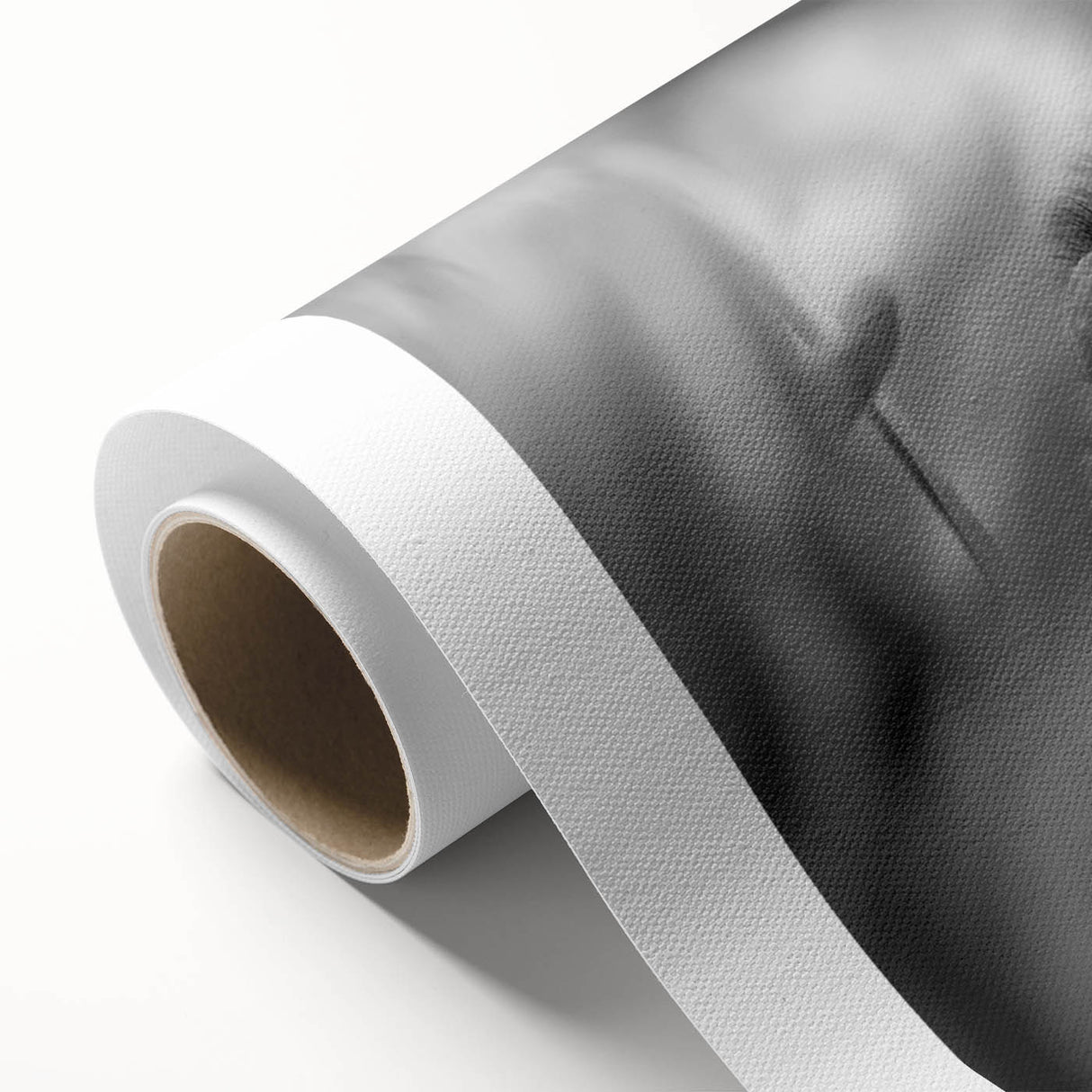 Rolled canvas showcasing a vibrant bee and arachnid-themed wall art design, featuring intricate details and colorful illustrations, perfect for nature enthusiasts' decor.