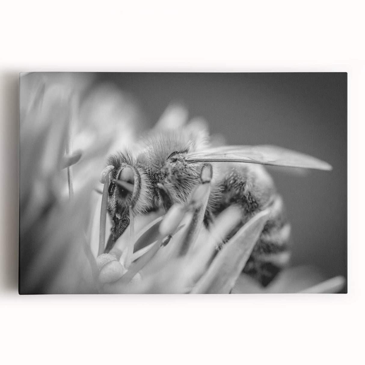 Stretched canvas wall art featuring a vibrant bee design, showcasing intricate details and bright colors, ideal for insect lovers and home decor enthusiasts.