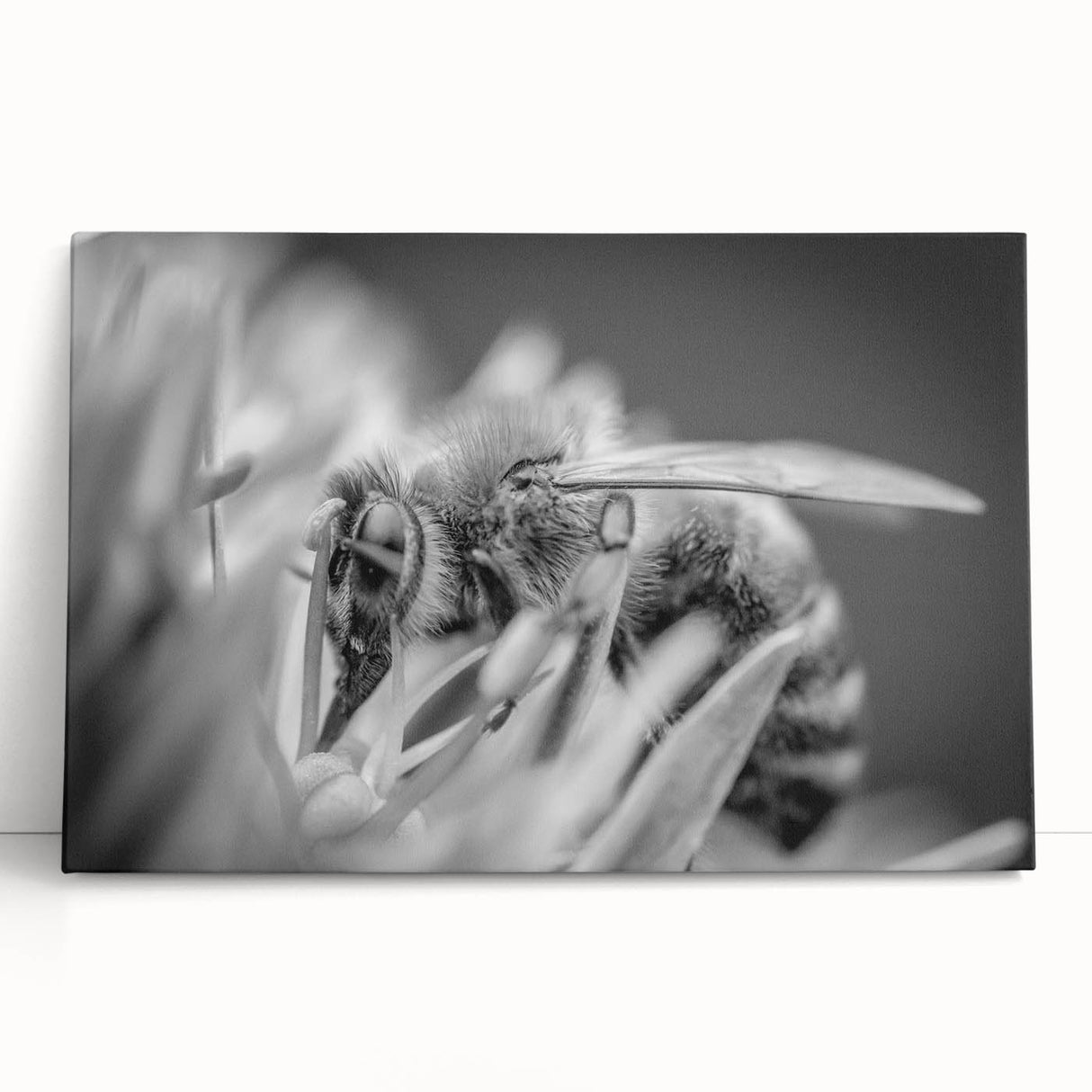 Stretched canvas wall art showcasing a vibrant bee and arachnid design, featuring intricate details and bold colors, perfect for nature-themed decor.