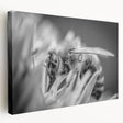 Stretched canvas wall art showcasing a detailed illustration of various insects and arachnids, featuring vibrant colors and intricate designs, ideal for nature enthusiasts and home decor.