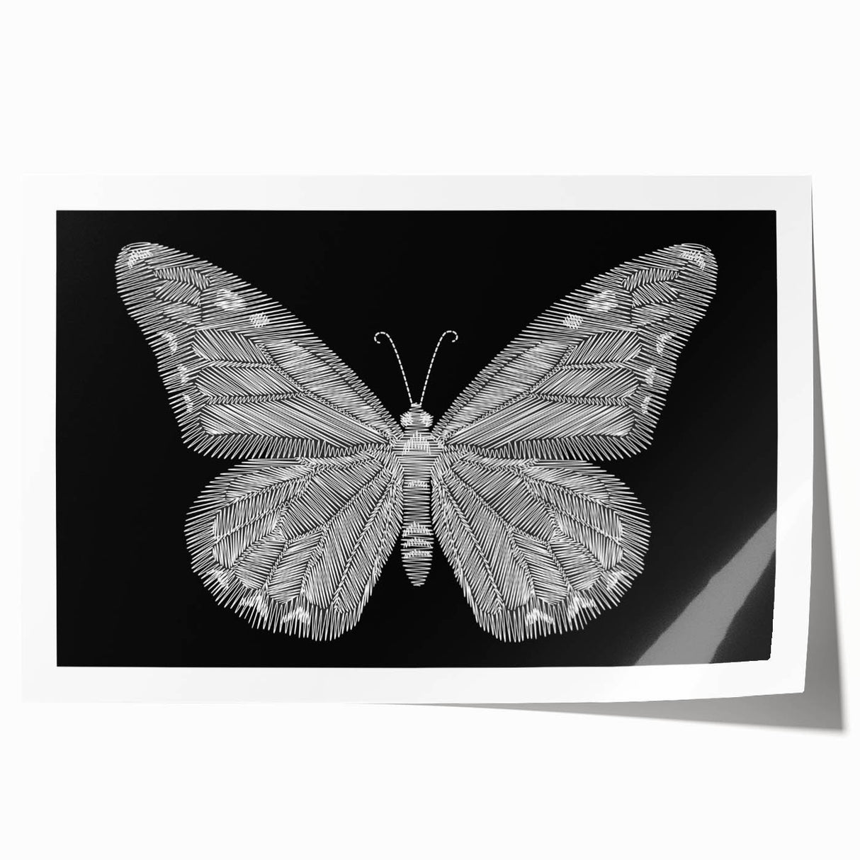 Colorful butterfly wall art print featuring intricate insect and arachnid designs, rolled and ready for display, perfect for nature-themed decor or educational settings.