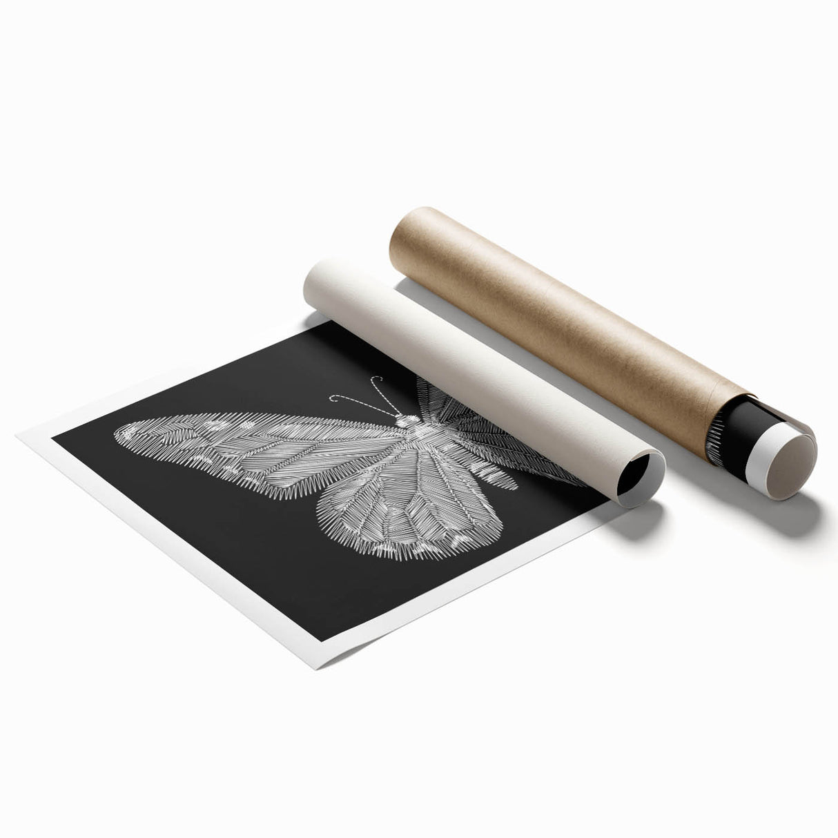 Colorful butterfly wall art print showcasing intricate insect designs, perfect for home decor. The rolled print features vibrant hues and detailed illustrations, ideal for nature enthusiasts.