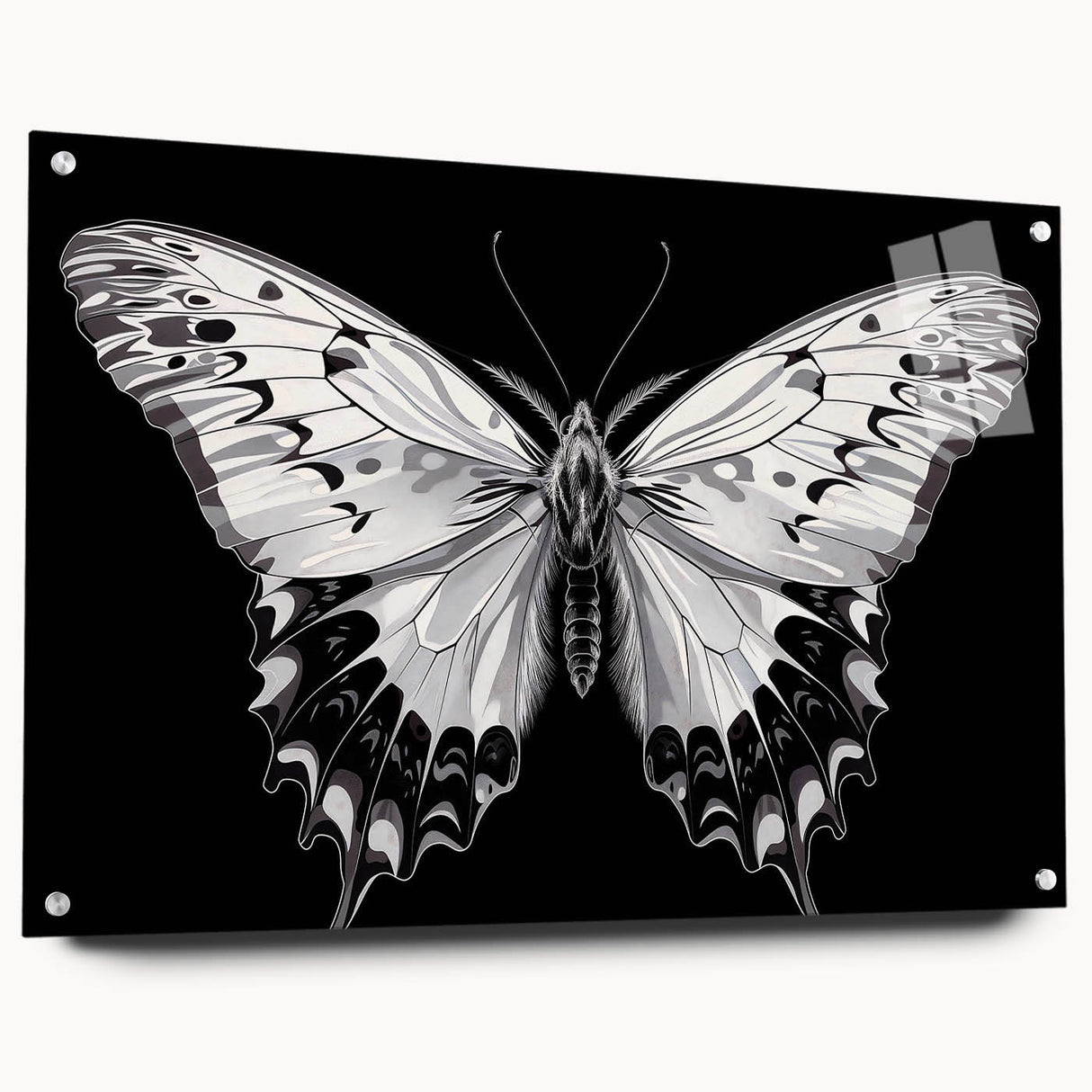 Side view of a butterfly-themed wall art collection featuring intricate insect and arachnid designs printed on acrylic glass, enhanced with decorative pins for display.