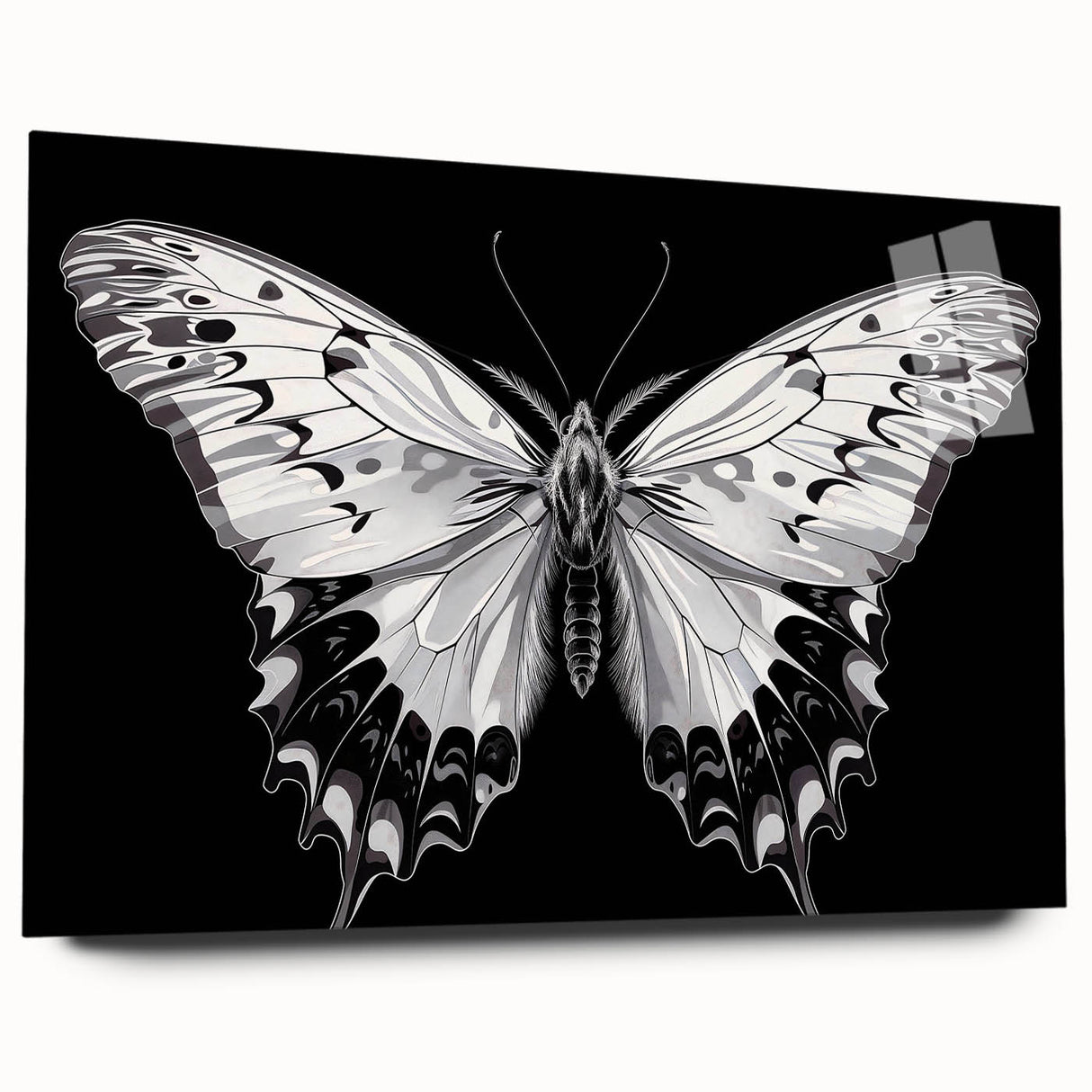 Vibrant butterfly design wall art collection in acrylic glass, showcasing intricate insect and arachnid illustrations, ideal for modern decor and nature enthusiasts.