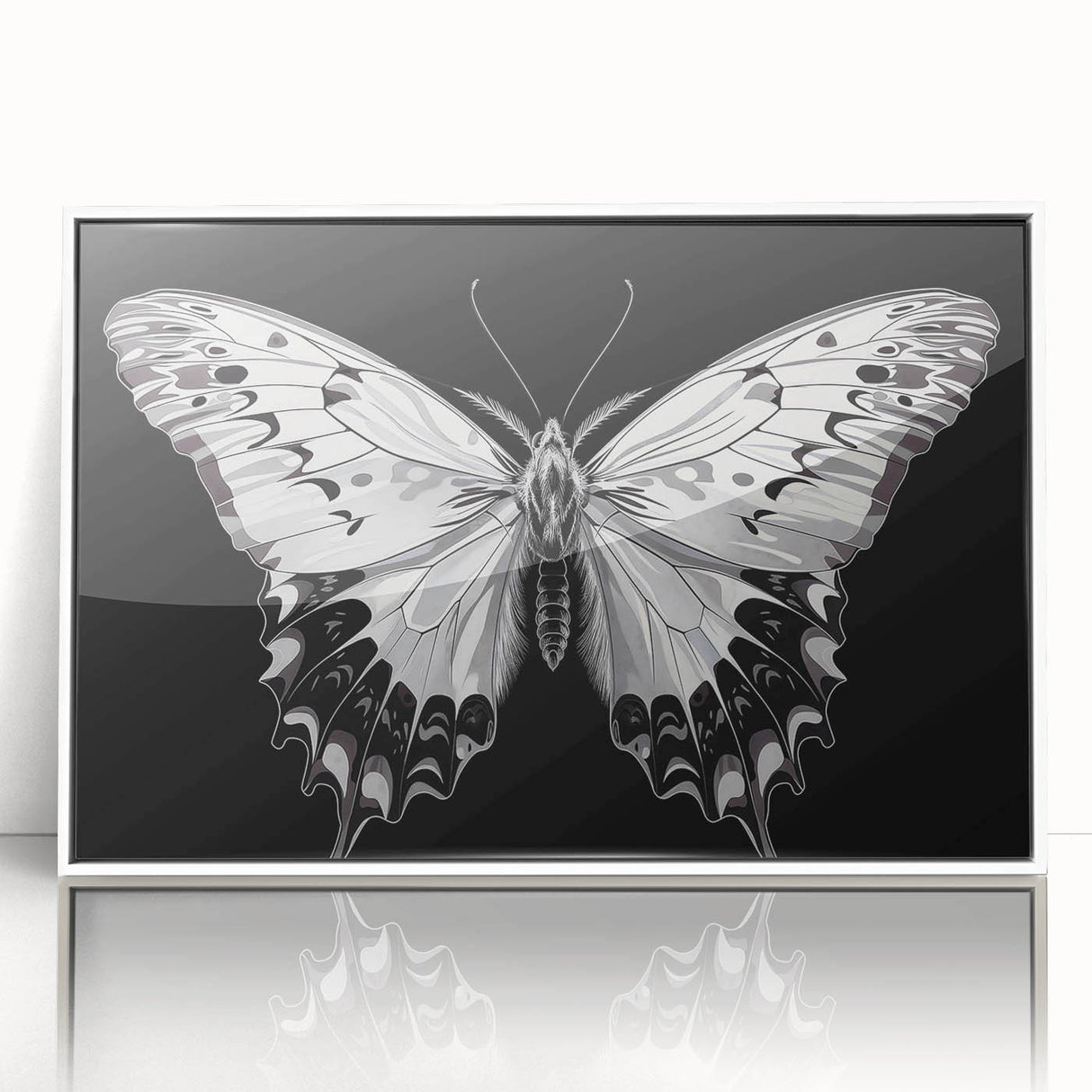 Framed butterfly wall art collection showcasing vibrant insect and arachnid designs in an elegant white frame, perfect for home decor enthusiasts.