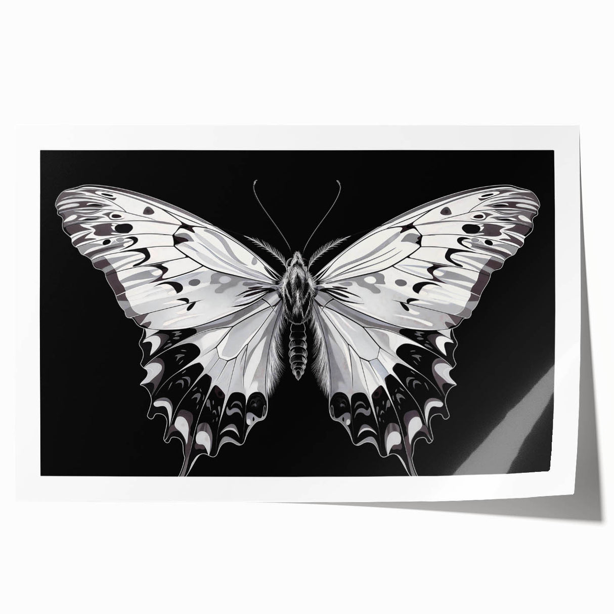 Colorful butterfly and insect wall art print showcasing a vibrant design with intricate details, perfect for home decor or educational purposes in entomology.