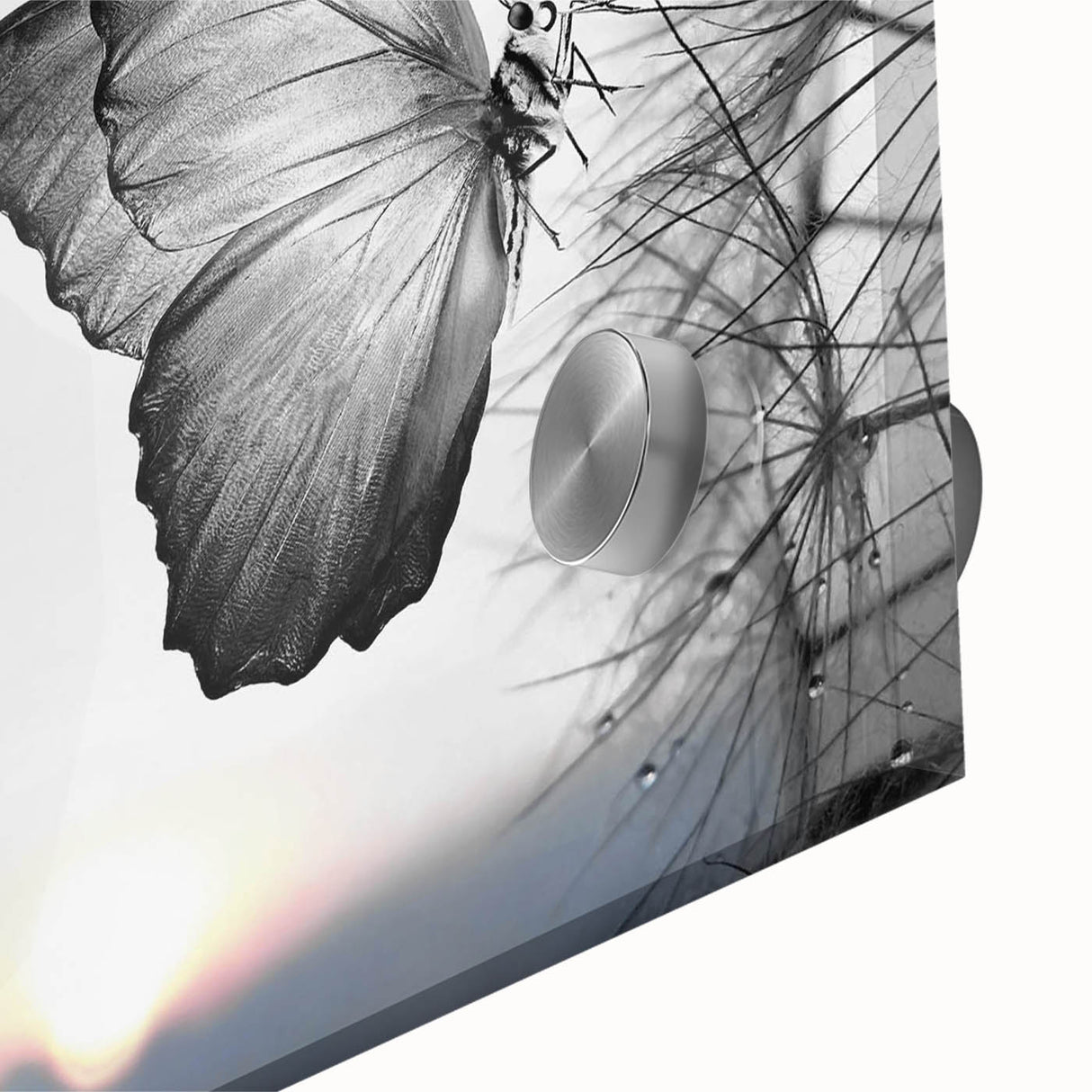 Close-up of a colorful butterfly wall art design featuring intricate details of insects and arachnids, printed on acrylic glass, ideal for modern decor.