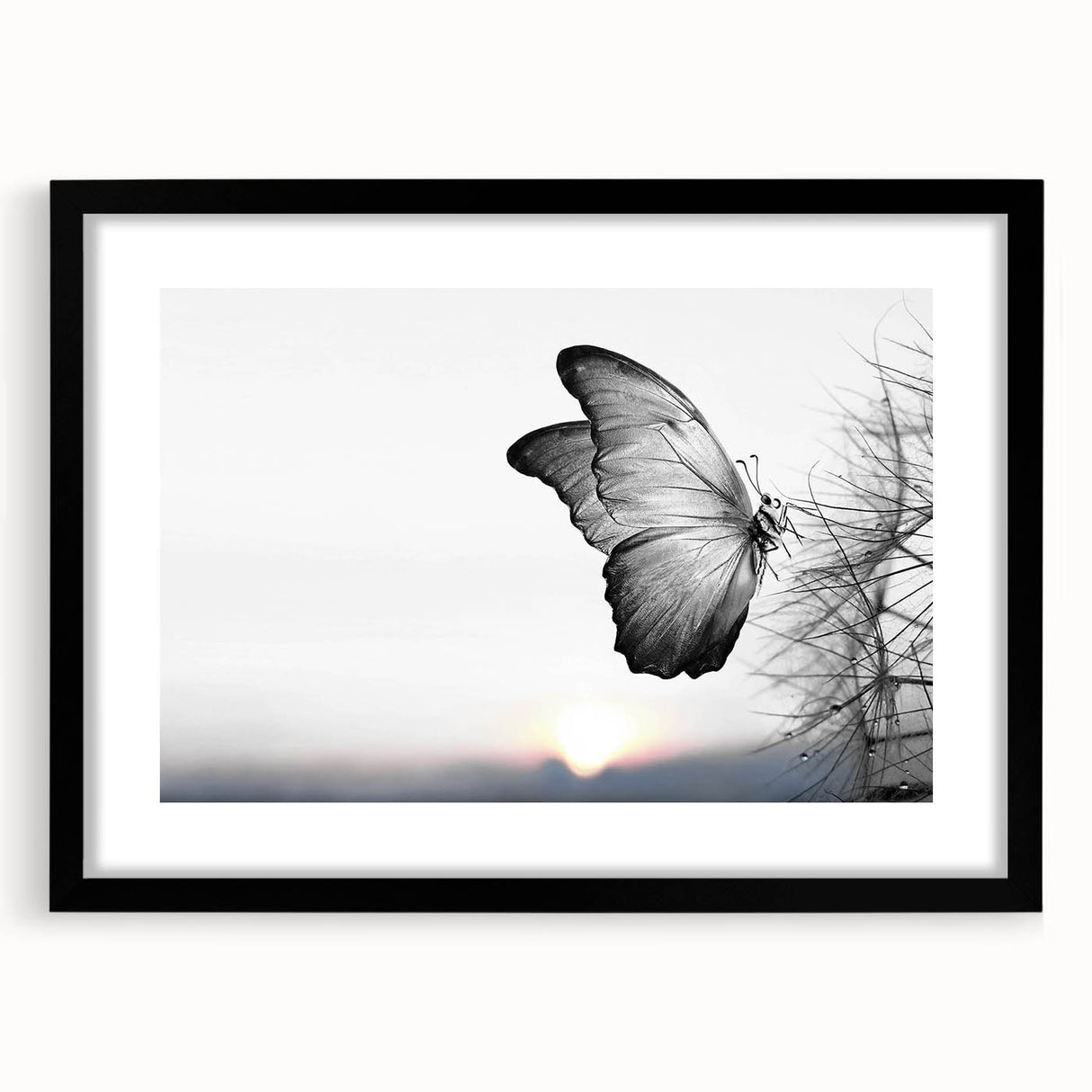 Framed wall art collection showcasing intricate insect and arachnid butterfly designs on a black matte background, ideal for nature-themed decor.