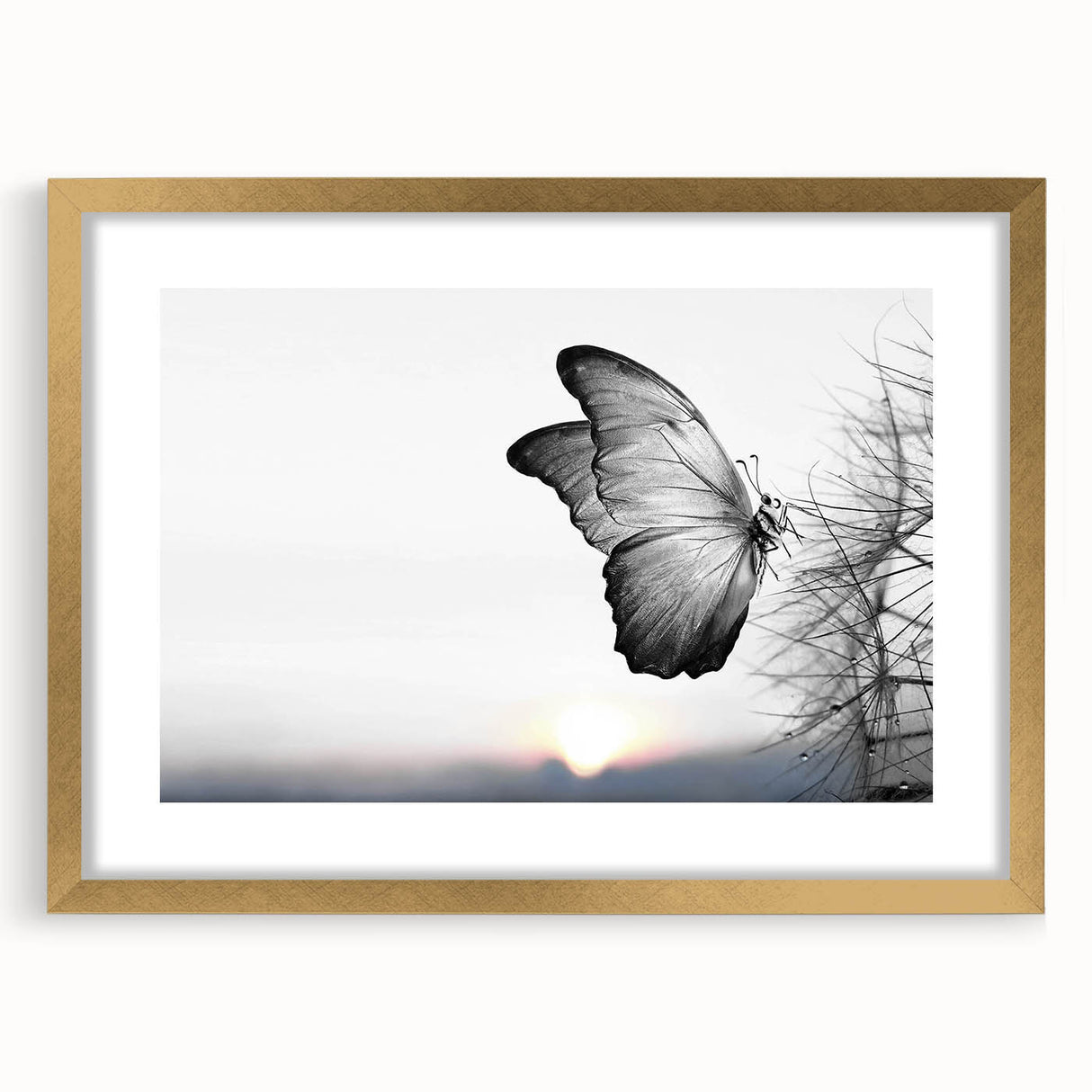 Framed wall art collection showcasing a vibrant butterfly design, featuring intricate insect and arachnid details, with a gold mat and frame for an elegant touch.