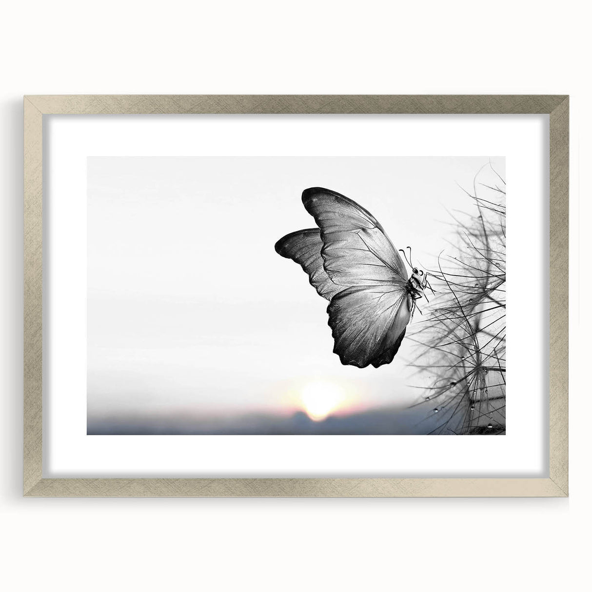 Framed wall art collection showcasing a butterfly design with intricate insect and arachnid details, featuring a silver mat and sleek frame for modern decor. Ideal for nature enthusiasts and art lovers.
