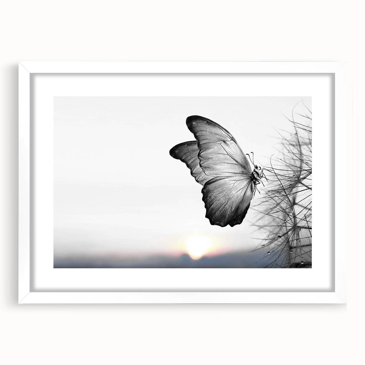 Butterfly-themed wall art collection framed in white with a mat, showcasing intricate insect and arachnid designs, perfect for nature enthusiasts' decor.