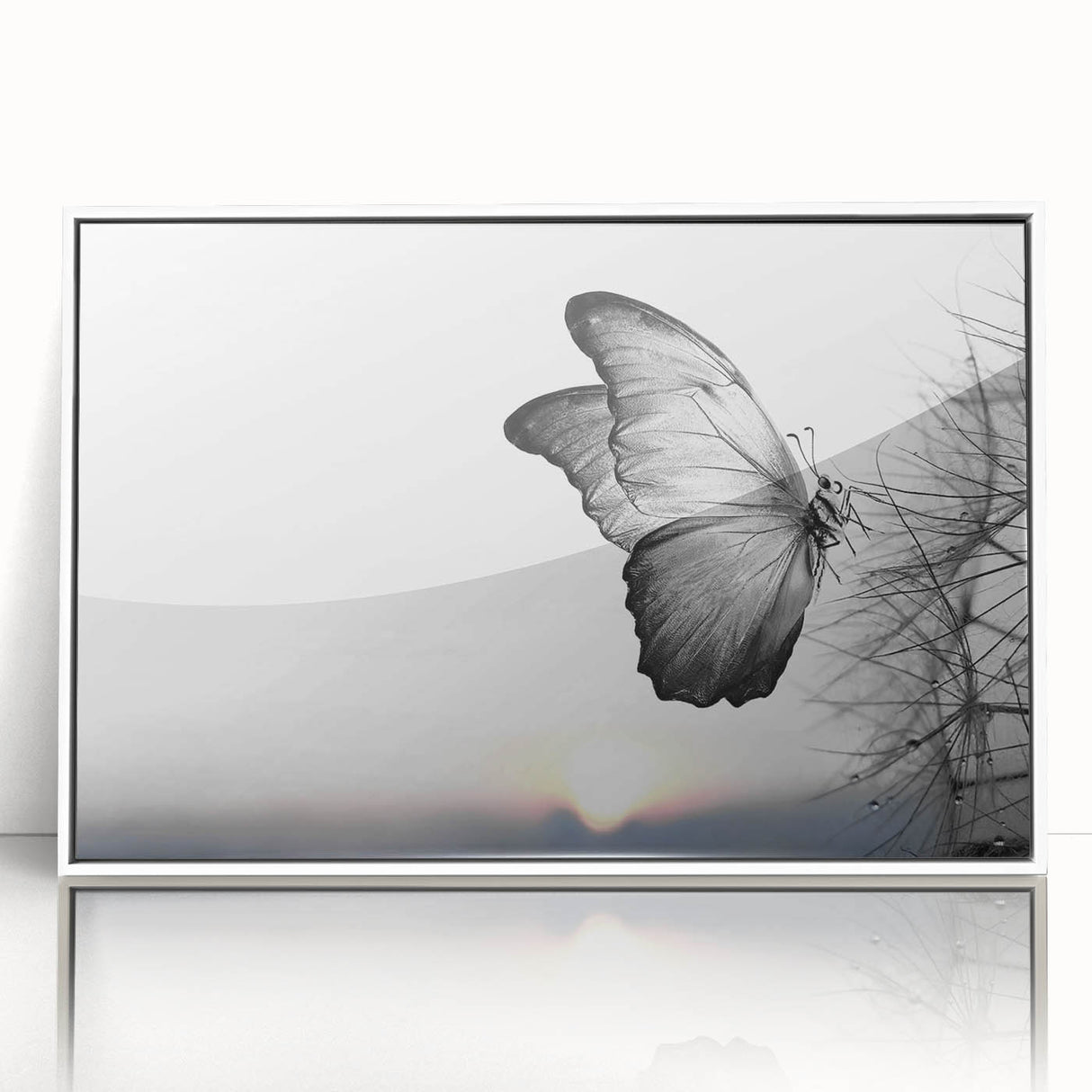 Framed acrylic wall art featuring a vibrant butterfly design from the Insect and Arachnid collection, displayed against a sleek white background, ideal for nature lovers.