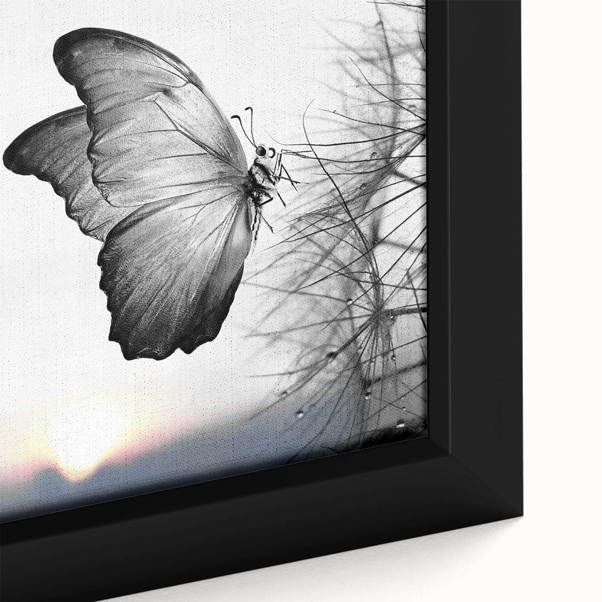 Close-up of a vibrant framed canvas wall art collection showcasing intricate butterfly designs, perfect for nature-themed décor. The artwork features vivid colors and fine details, elevating any space with its artistic flair.