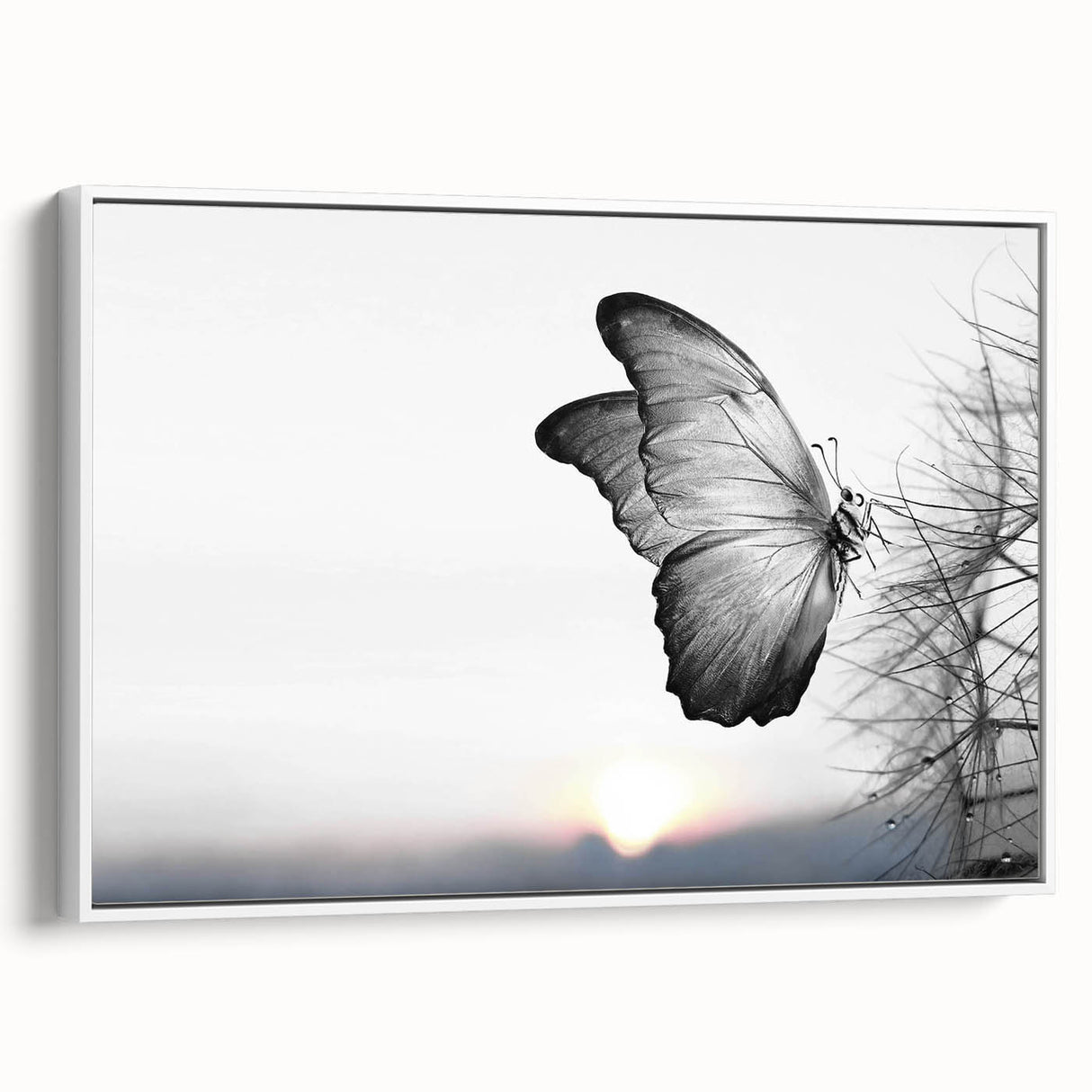 Framed wall art collection showcasing intricate butterfly and insect designs on a white canvas, highlighting vibrant colors and detailed patterns in a side view.