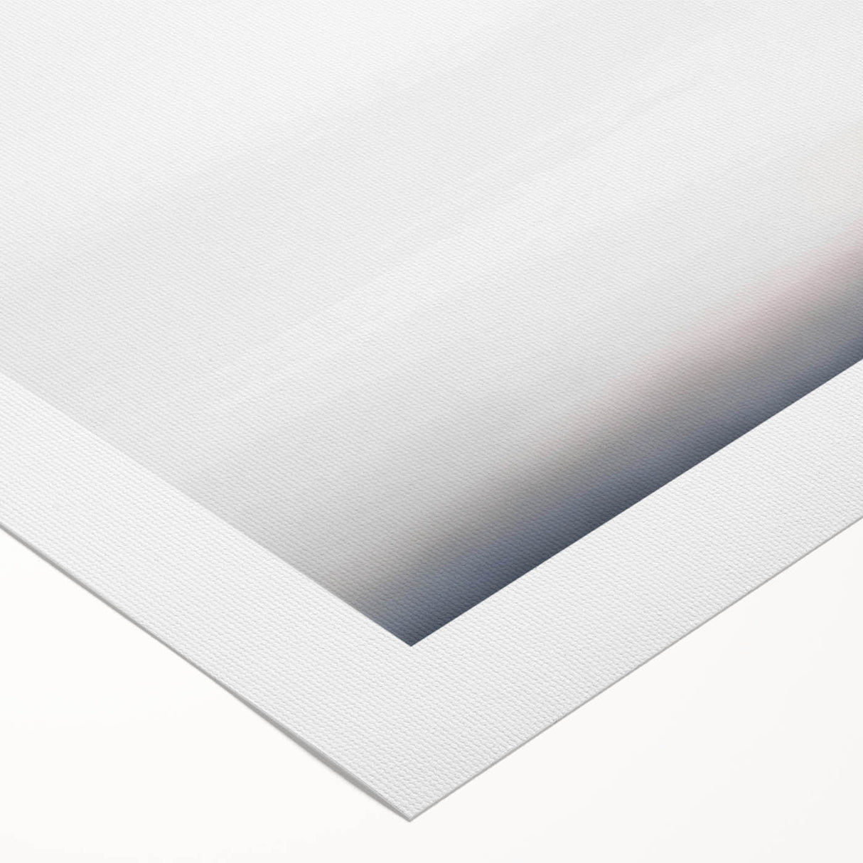 Colorful rolled canvas wall art featuring a butterfly and arachnid design, showcasing intricate details and vibrant colors, ideal for nature-inspired decor.