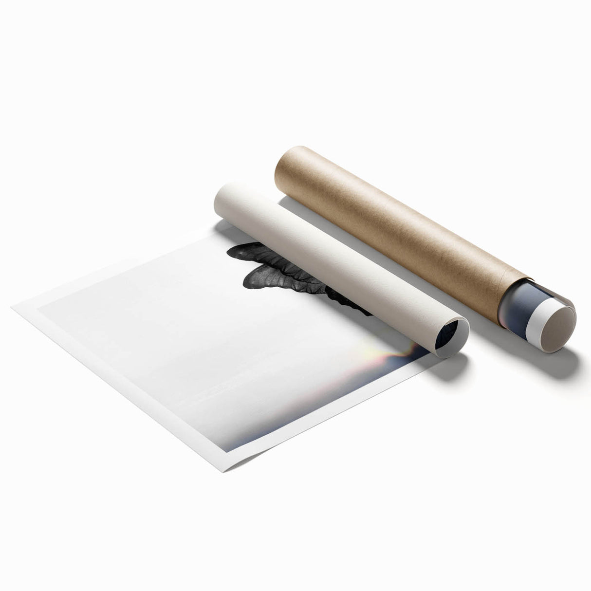 Colorful butterfly and insect wall art print showcasing intricate designs and vibrant colors, ideal for home decor. Rolled and ready for framing.