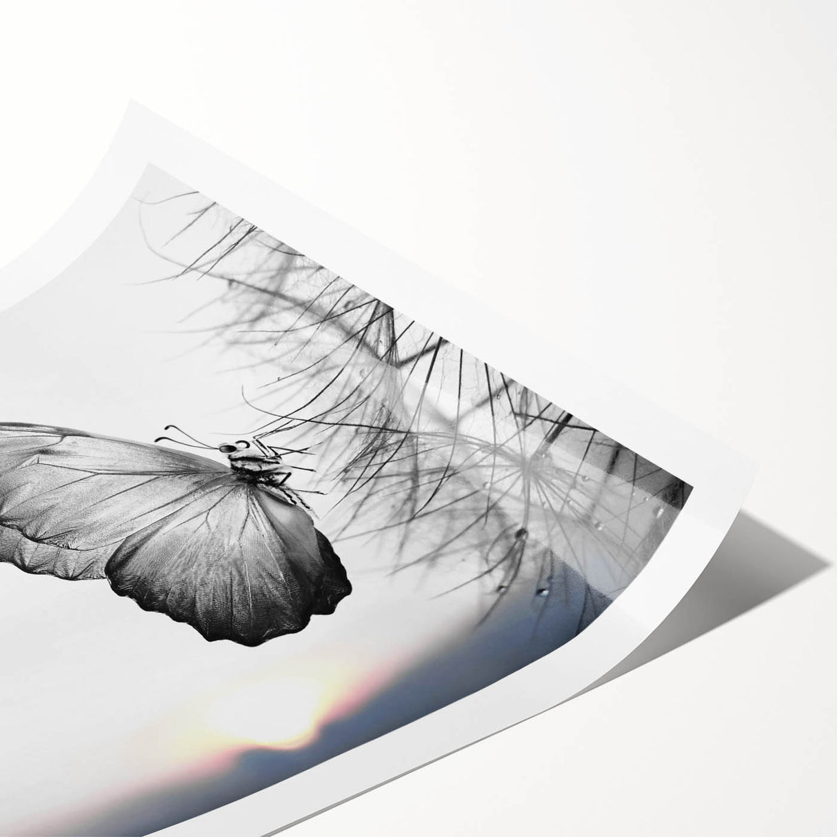 Colorful butterfly wall art print featuring intricate insect and arachnid designs on a white background, rolled up for easy shipping and display.