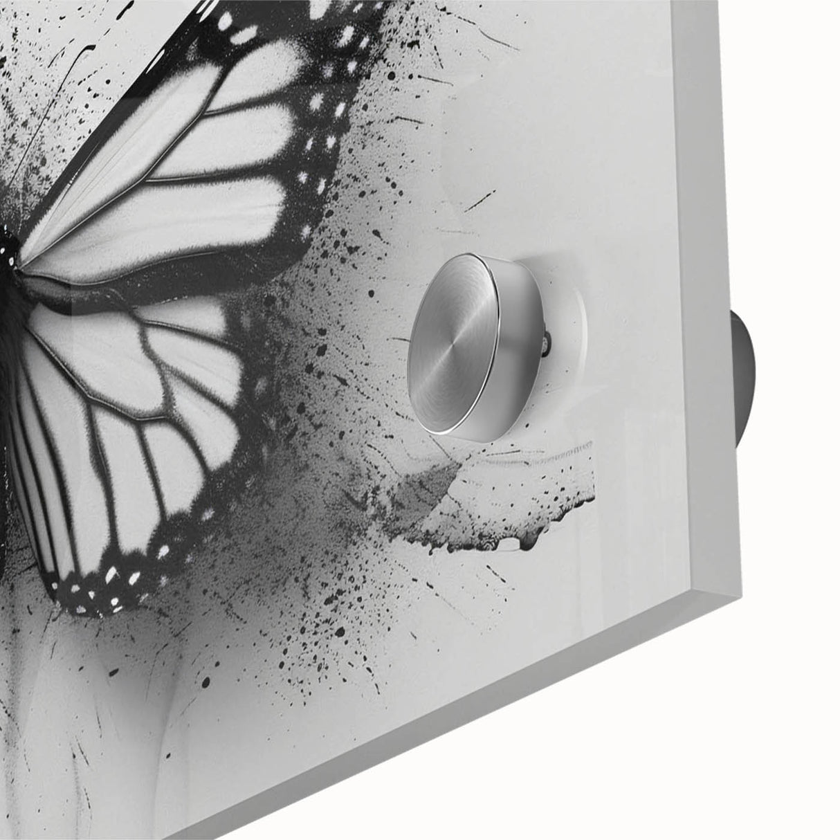 Close-up of a vibrant butterfly-themed wall art collection, showcasing intricate insect and arachnid designs on acrylic glass, perfect for modern decor.