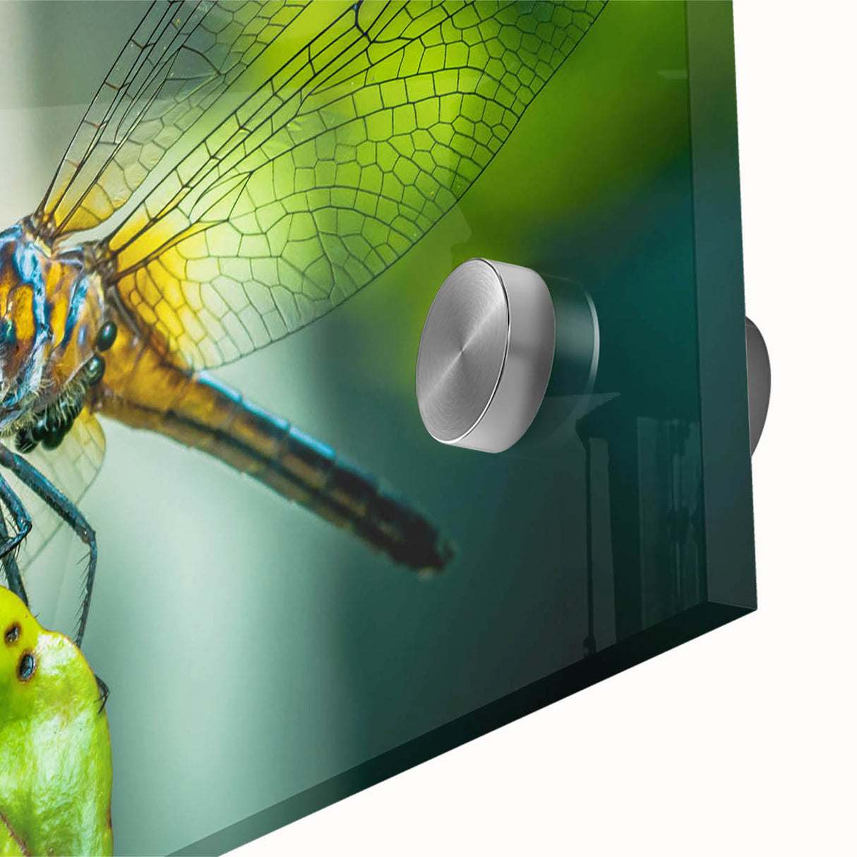 Close-up of a vibrant dragonfly design wall art piece, showcasing intricate details and colors on acrylic glass, perfect for nature-inspired decor.