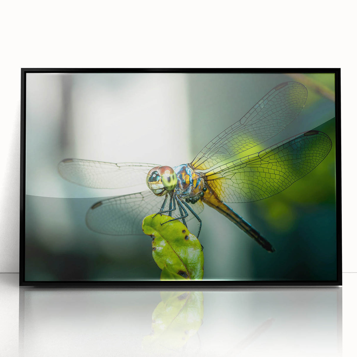 Framed wall art featuring a detailed dragonfly and arachnid design, presented in a sleek black frame, perfect for nature-inspired decor.