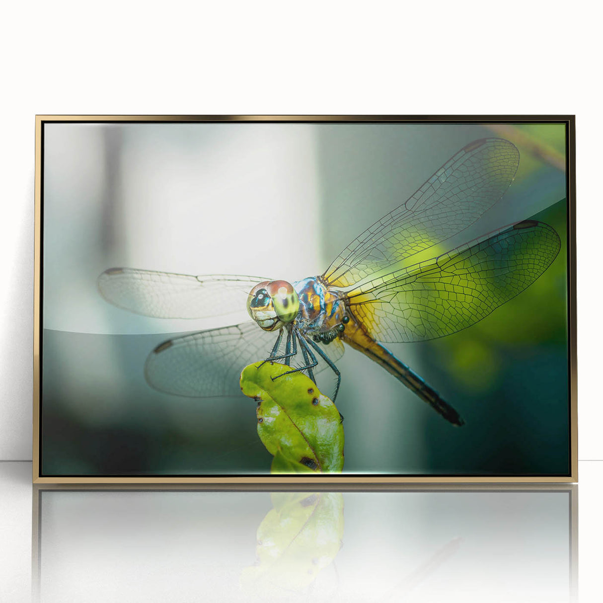 Framed wall art featuring a detailed dragonfly design in vibrant colors, set against an elegant gold background, perfect for enhancing home decor.