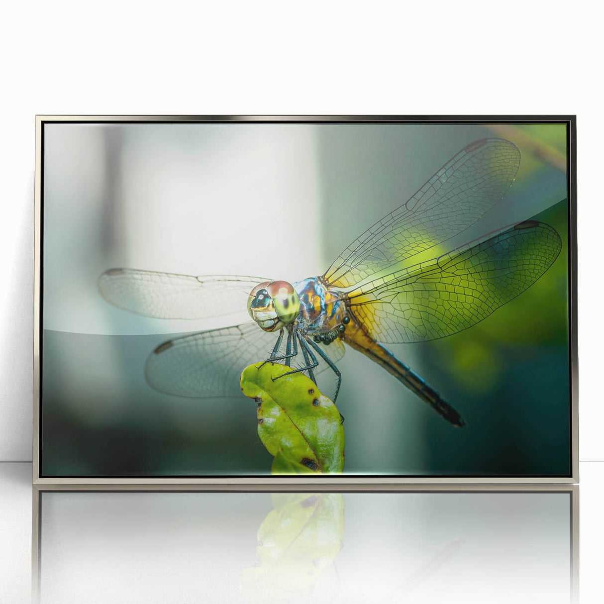 Framed wall art featuring a detailed dragonfly design, showcasing vibrant colors and intricate patterns, set against a sleek silver acrylic frame, perfect for modern decor.