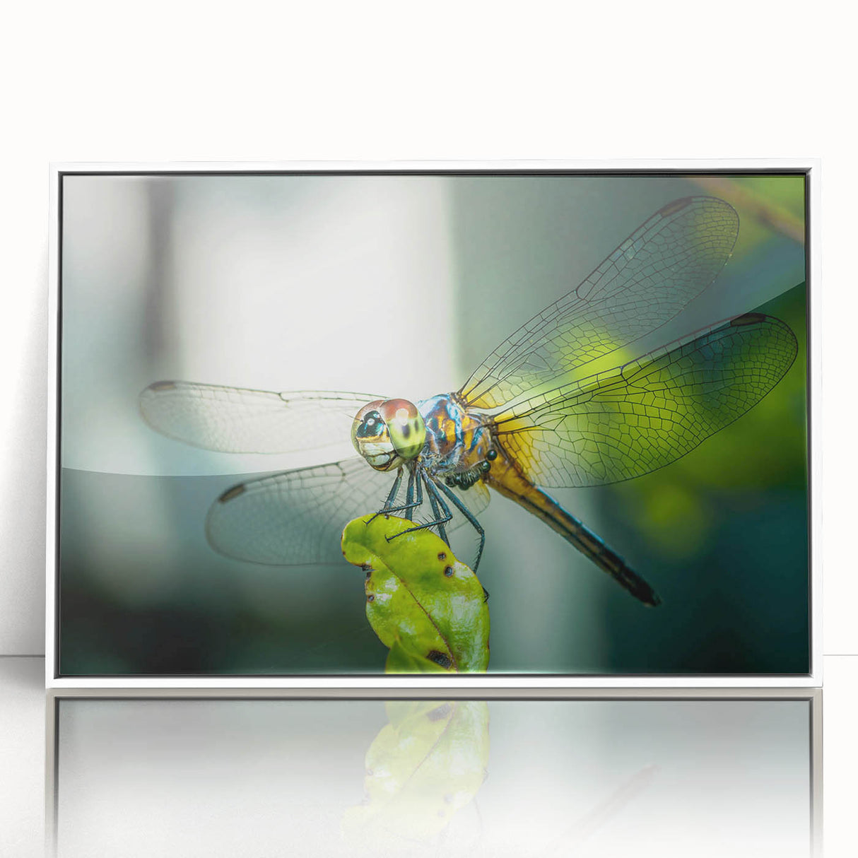 Framed wall art collection showcasing an intricate dragonfly design, featuring vibrant colors and detailed patterns, set in a sleek white frame for modern decor.