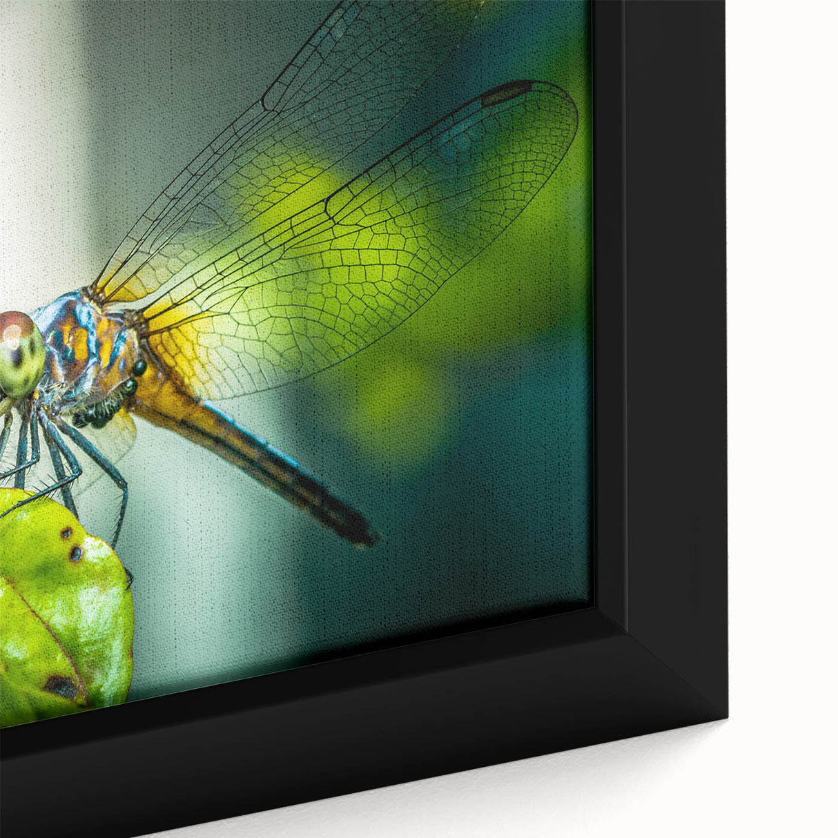 Close-up of a framed canvas wall art featuring a detailed dragonfly design with vibrant colors, showcasing intricate wing patterns against a textured background, ideal for nature-themed decor.
