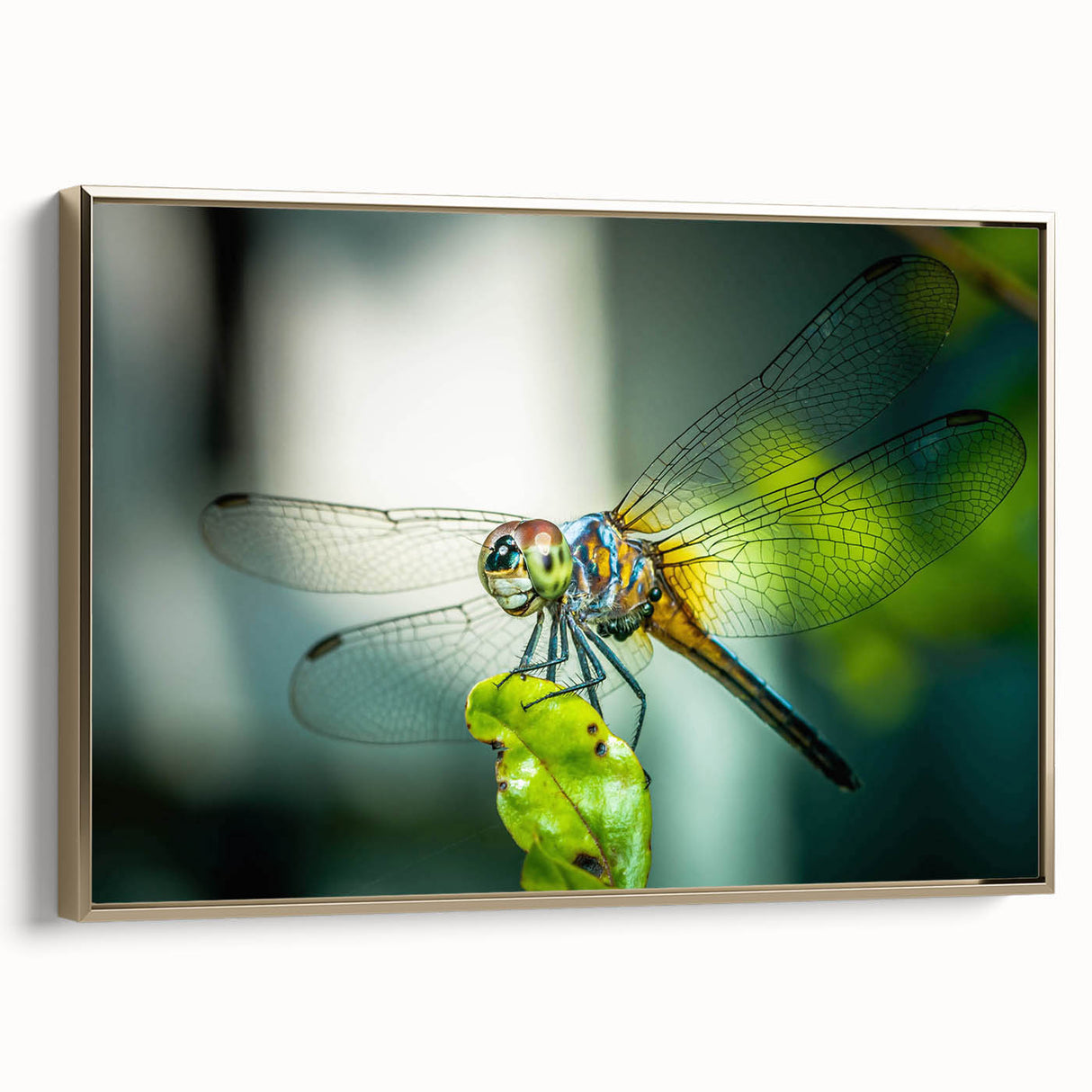 Framed wall art showcasing a detailed dragonfly design, featuring vibrant colors and intricate patterns on a gold background, perfect for enhancing modern decor.