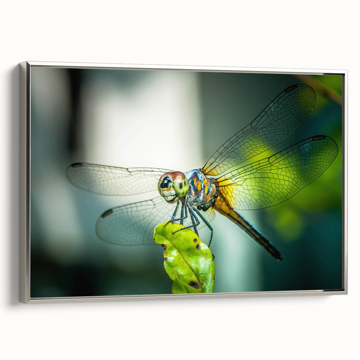 Framed wall art featuring a detailed dragonfly design on canvas, showcased with a sleek silver frame, perfect for nature-inspired decor. Ideal for adding elegance and charm to any room.