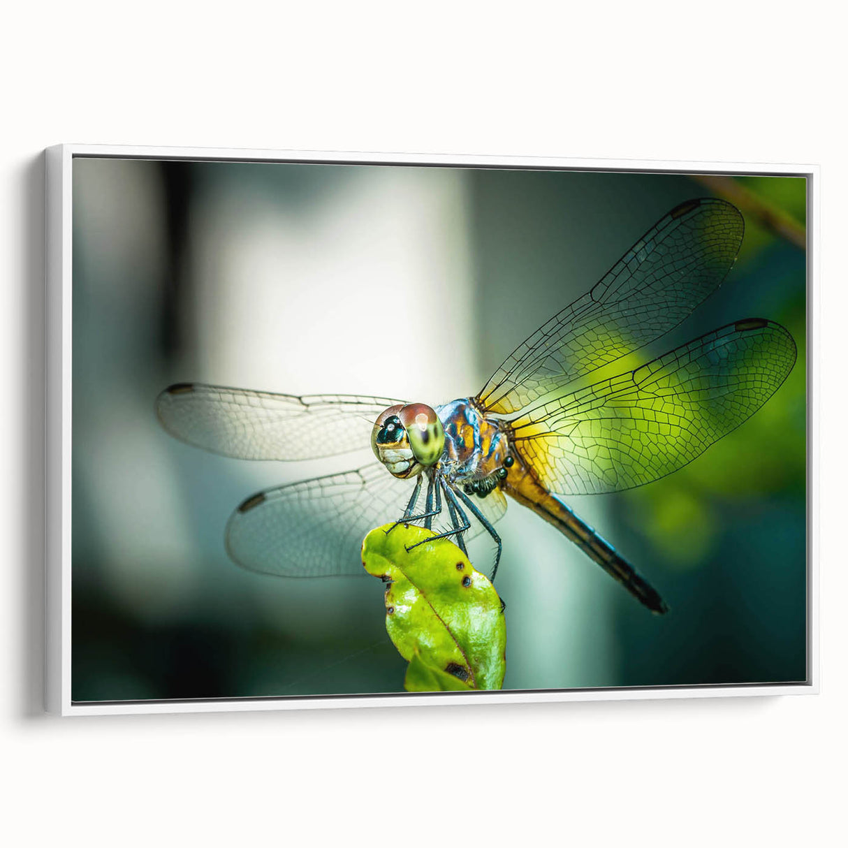 Framed wall art featuring a detailed dragonfly design in vibrant colors, showcasing intricate patterns and textures on a white background, perfect for nature-inspired decor.