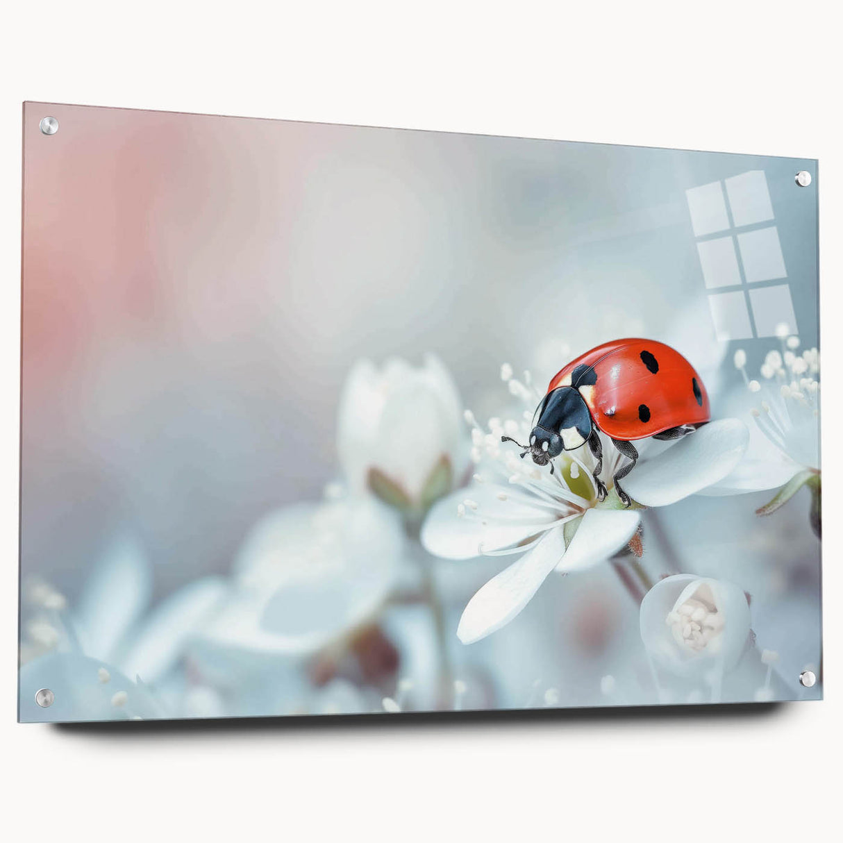 Close-up of a side view of a ladybug-themed wall art piece designed for insect and arachnid lovers, featuring vibrant colors and a sleek acrylic glass finish, ideal for home decor.