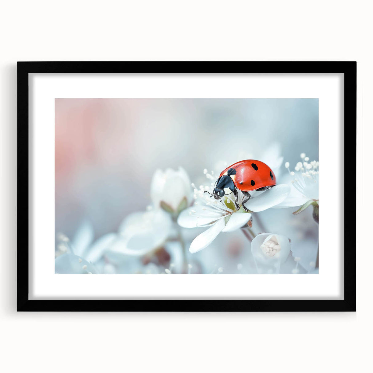 Black-framed wall art featuring a colorful ladybug design, part of a three-piece insect and arachnid collection, ideal for nature-themed decor and children's rooms.