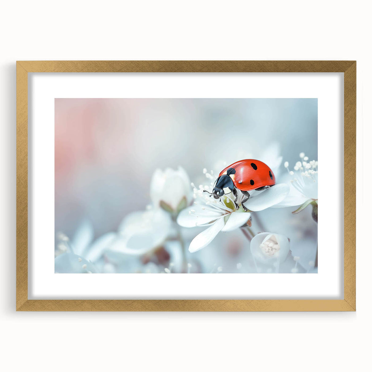 Ladybug-themed wall art framed in gold, showcasing intricate insect and arachnid designs, ideal for nature enthusiasts and modern decor accents.