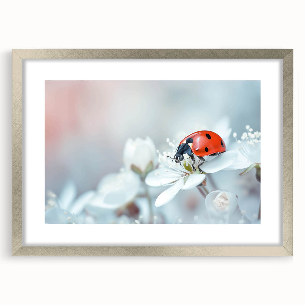 Framed wall art featuring a vibrant ladybug design from the Insect and Arachnid collection, elegantly displayed with a silver frame and mat. Perfect for nature lovers.
