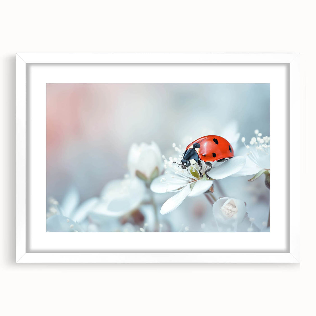 Framed wall art collection showcasing a vibrant ladybug design, featuring intricate details in red and black, set against a white mat for a clean, modern look. Ideal for insect lovers and nature-themed decor.