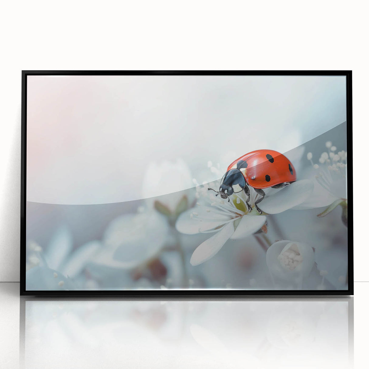 Framed wall art showcasing a vibrant ladybug design within an insect and arachnid collection, featuring a sleek black frame, perfect for nature-inspired decor.