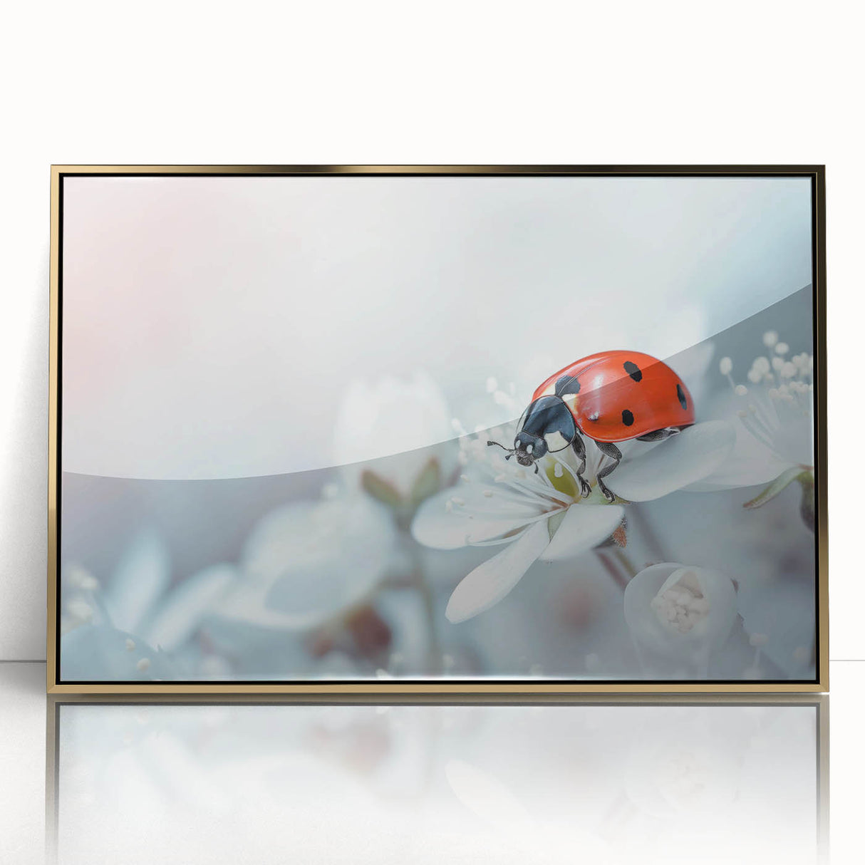 Framed acrylic wall art featuring a vibrant ladybug design, showcasing intricate details and a gold frame, perfect for nature-themed decor and insect enthusiasts.