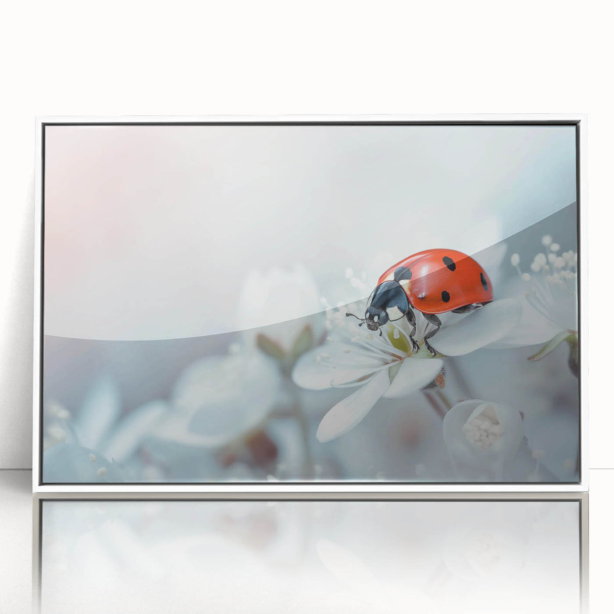 Framed wall art showcasing a vibrant ladybug design on a white background, perfect for insect lovers and modern home decor enthusiasts. This acrylic piece adds a pop of color to any room.